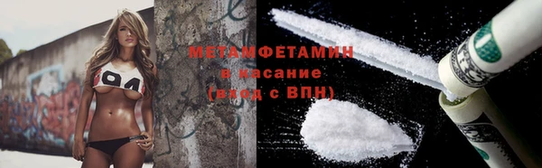 PSILOCYBIN Гатчина