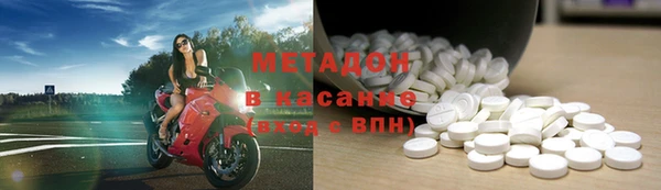 PSILOCYBIN Гатчина