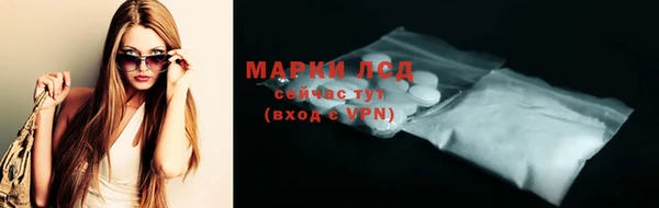 PSILOCYBIN Гатчина