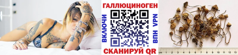 Галлюциногенные грибы Magic Shrooms Карасук