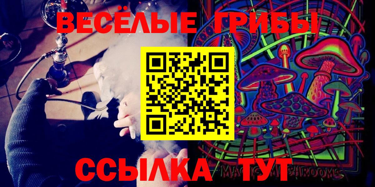 Галлюциногенные грибы Psilocybine cubensis Карасук