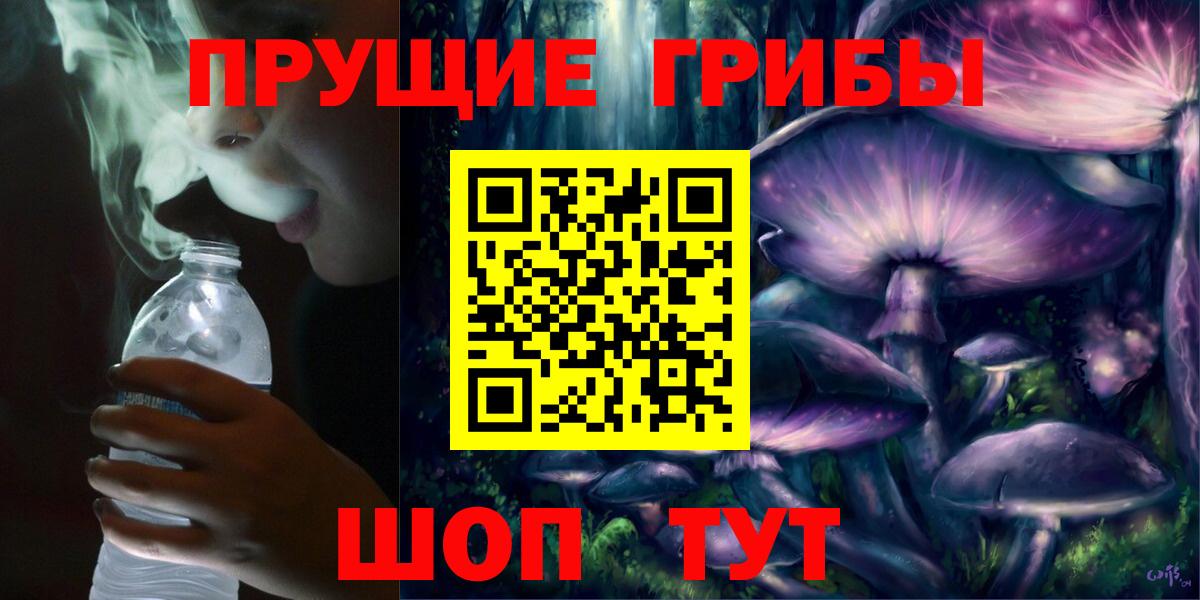 Галлюциногенные грибы Psilocybine cubensis  Вход с VPN  Псилоцибиновые грибы Psilocybe  Карасук 